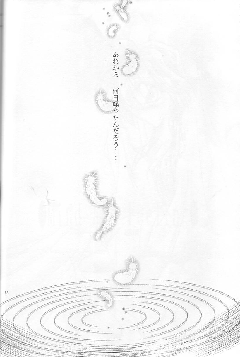 [Himuro DOLL (Narumi*Reimu)] Velvet Moon (Slayers) 이미지 번호 29