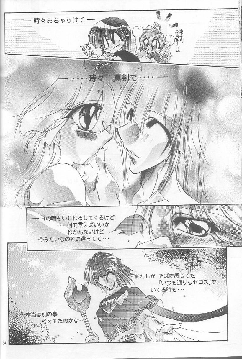 [Himuro DOLL (Narumi*Reimu)] Velvet Moon (Slayers) 이미지 번호 31