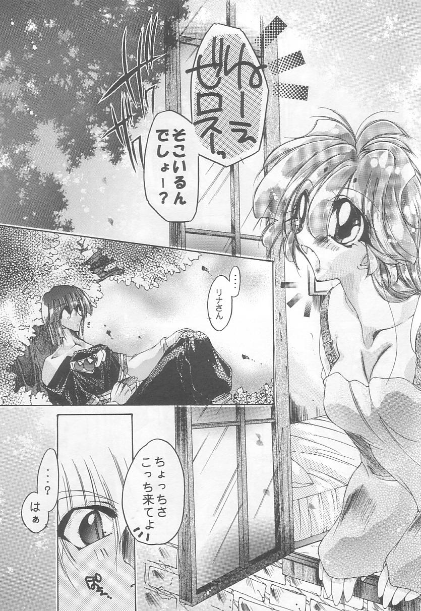 [Himuro DOLL (Narumi*Reimu)] Velvet Moon (Slayers) 이미지 번호 65