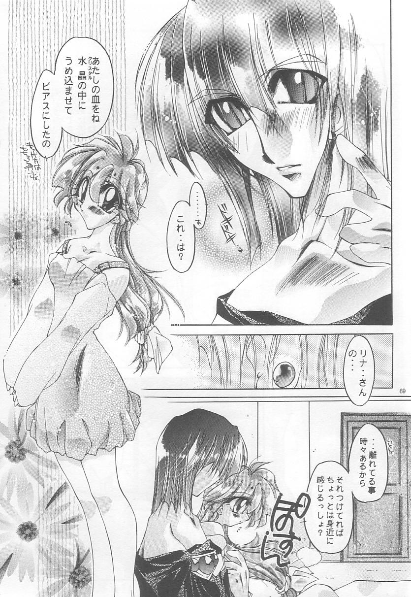 [Himuro DOLL (Narumi*Reimu)] Velvet Moon (Slayers) 이미지 번호 67