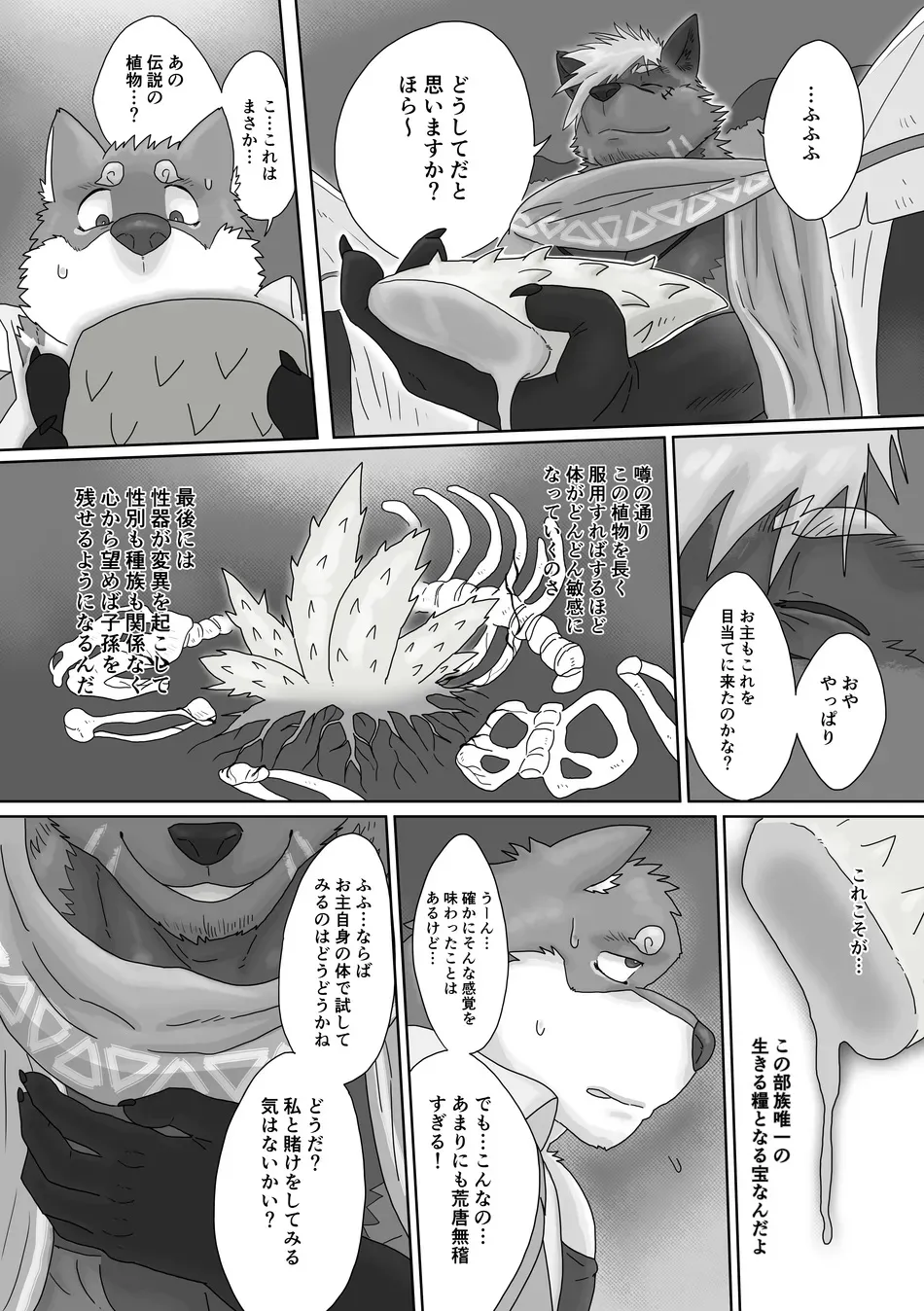 [Renoky] The Wild Secluded Region 2 [JP] Bildnummer 6