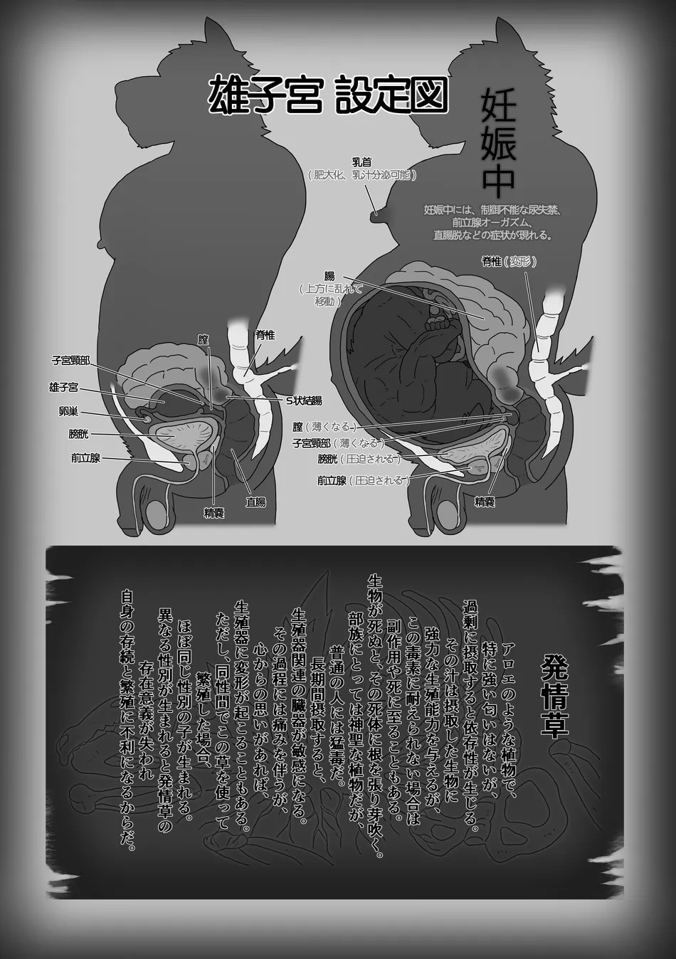 [Renoky] The Wild Secluded Region 3 [JP] Bildnummer 56