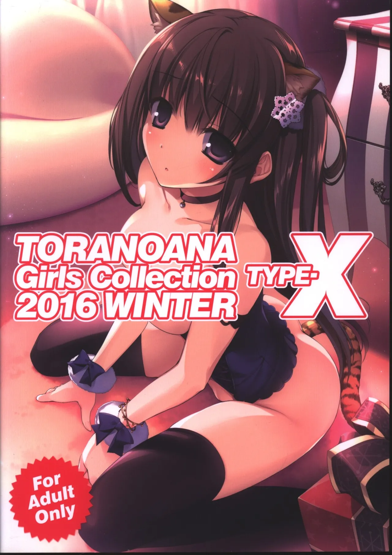 (C91) [Kabushikigaisha Toranoana (Various)] TORANOANA Girls Collection 2016 WINTER TYPE-X première image