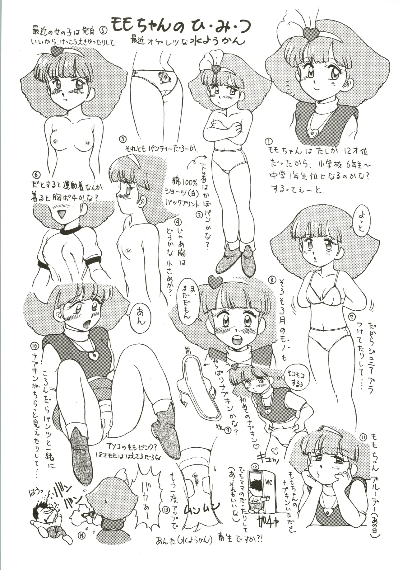 [Genom Company (Mizuyoukan)] Mizuyoukan WORKS (Minky Momo, Nadia, Sailor Moon) Bildnummer 12