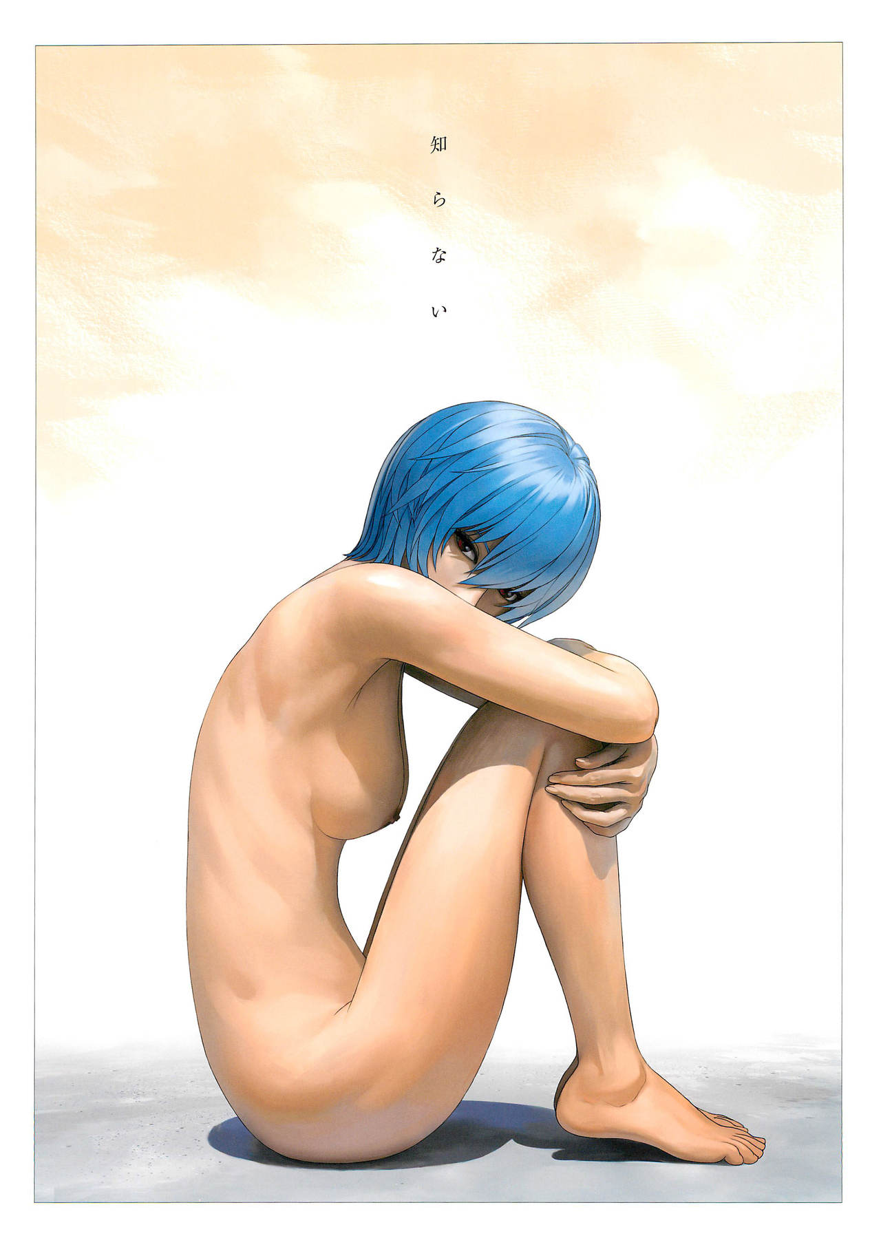 (C97) [Castlism (Norve Watanabe)] SENSUAL Vol.17 EVA GIRLS ILLUSTRATIONS 6 (Neon Genesis Evangelion) imagen número 12