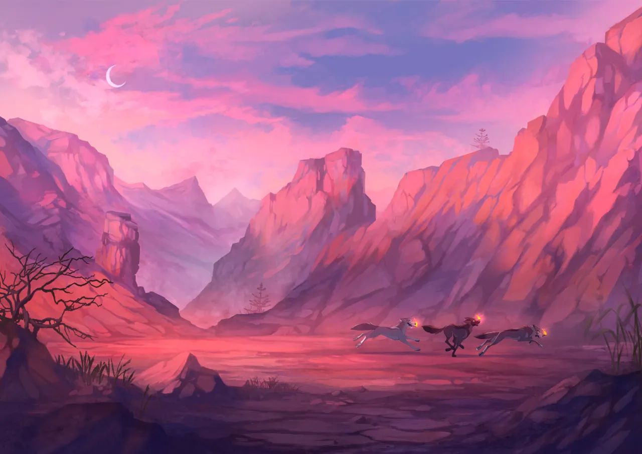 [Skailla]NO NORTH image number 2