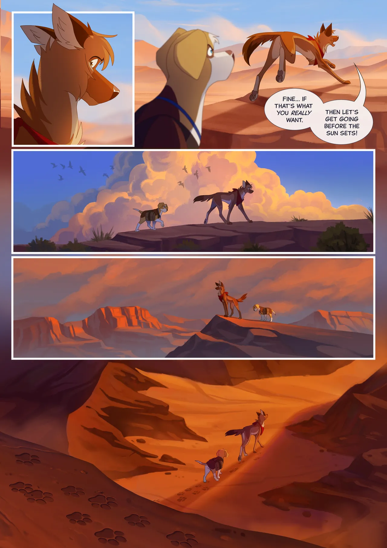 [Skailla]NO NORTH image number 56