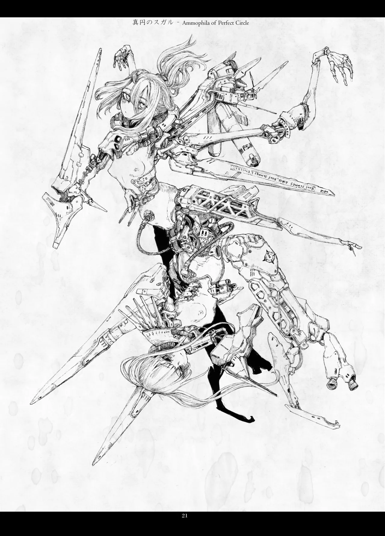 [Decay techS (Megrim Haruyo)] Predatory Duality 图片编号 21