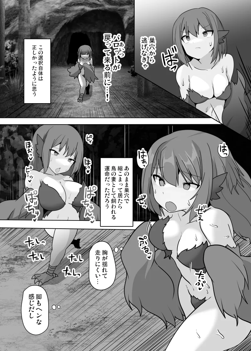 [Usausagiusa (Neosino)]TSF Mamono Musume ~ Isekai de Harpy ni Kaerarete ~ numero di immagine  11