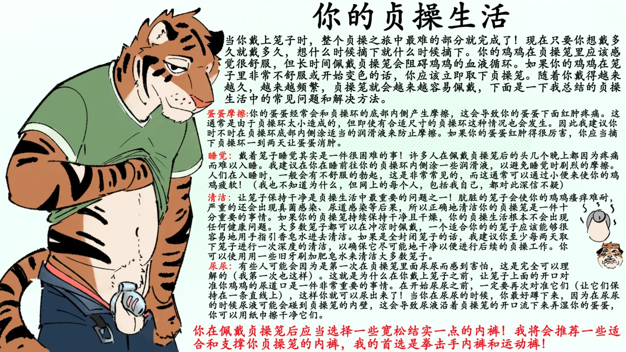 [Picante]Picante's chastity guide[ Chinese][ x8088mc] imagen número 5