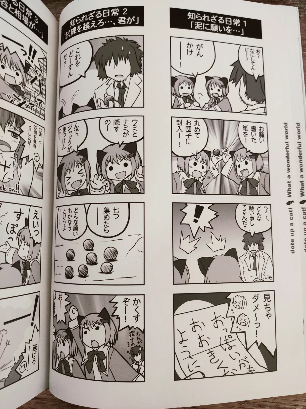 (C70) [PURE STRAWBERRY、 N's Apple Web (Various)] What A Wonderful World (Nekokkawaigari!) 画像番号 9