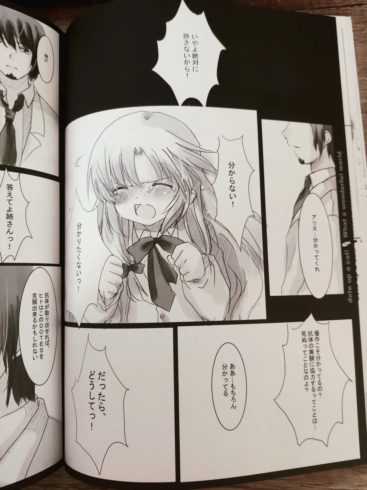 (C70) [PURE STRAWBERRY、 N's Apple Web (Various)] What A Wonderful World (Nekokkawaigari!) 画像番号 21