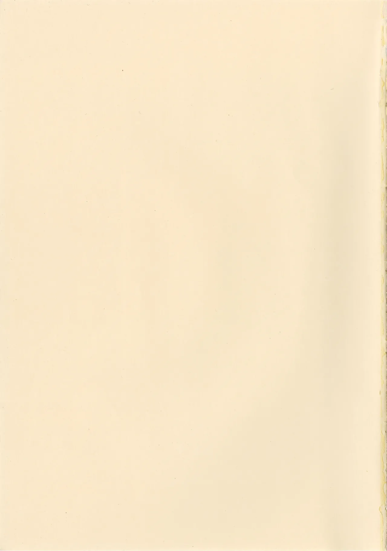 (C74) [Gekidoku Shoujo (ke-ta, Hyuuga, Touma Nadare)] Touhou Shoujo (Touhou Project) image number 3