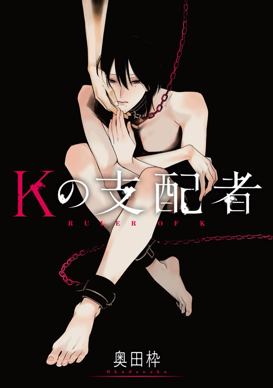 [奥田枠]K的支配者[Chinese] [看海汉化组] [Digital] image number 1