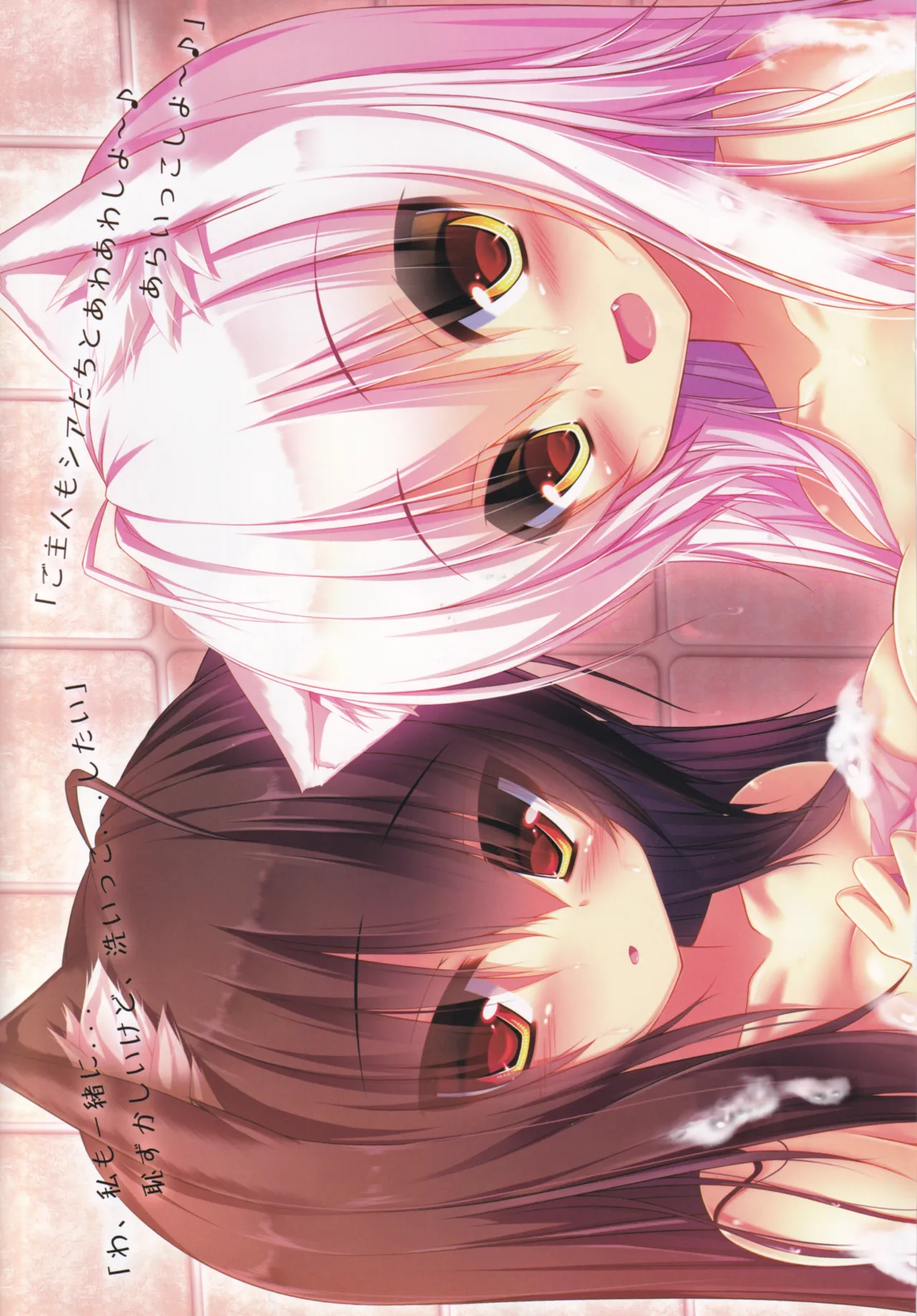 (C85) [Fukuneko Mofumofu (Syroh)] My Cats & Biscuit Vol.6 numero di immagine  4