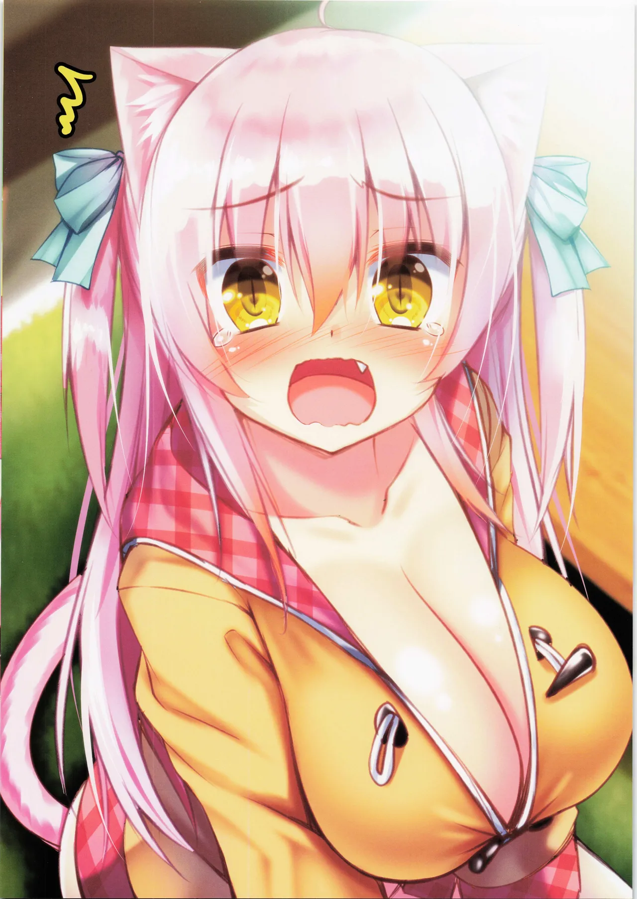 (C100) [Fukuneko Mofumofu (Syroh)] My Cats & Biscuit Vol.19 numero di immagine  12