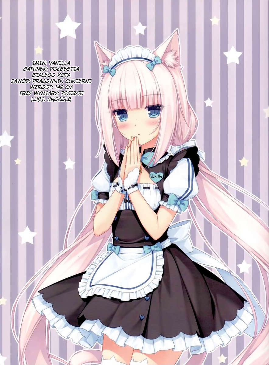 (C84) [NEKO WORKs (Sayori)] Neko Para 01  [Polish] [Phonenix-Scans] numero di immagine  10