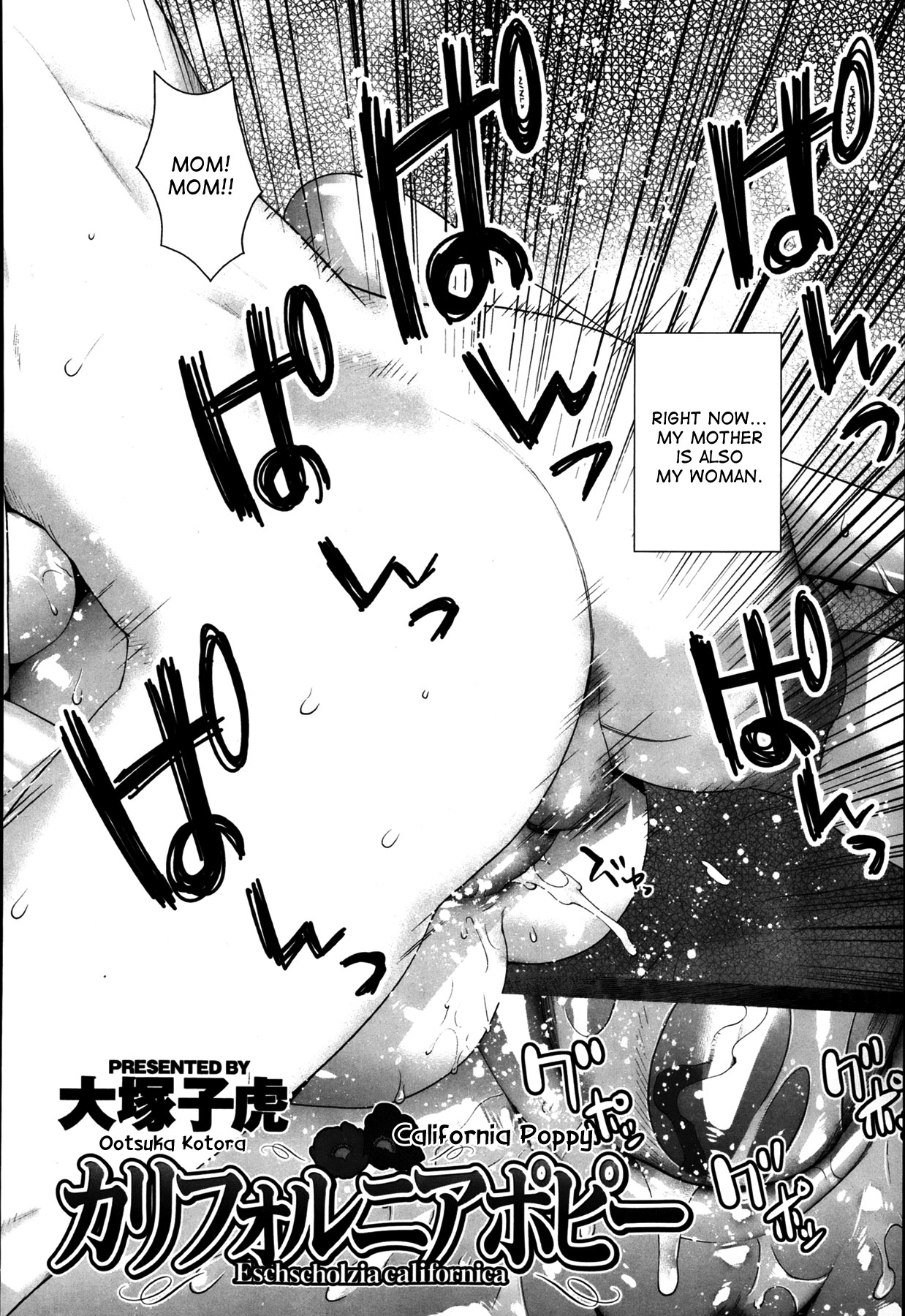 Ootsuka Kotora California Poppy 图片编号 2