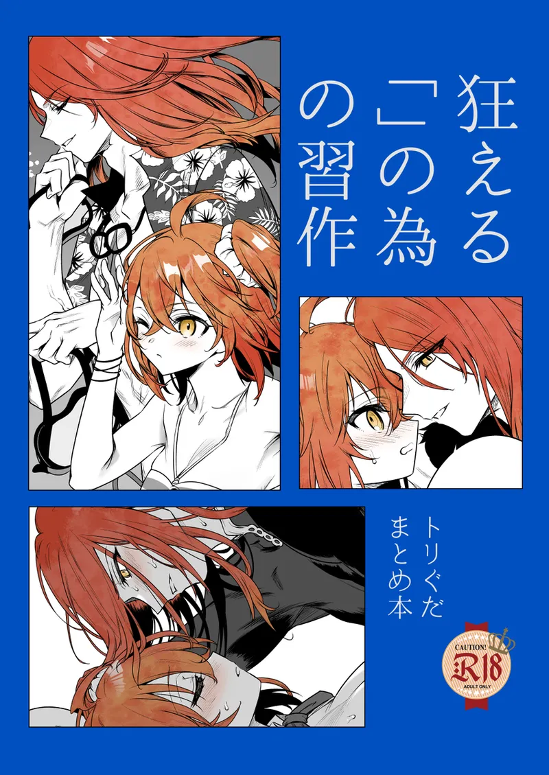 [ Hyōzan dai bakuha)][Tori guda matome hon kurueru “ ” no tame no shūsaku[[escape 2 fate grand order ) 이미지 번호 1