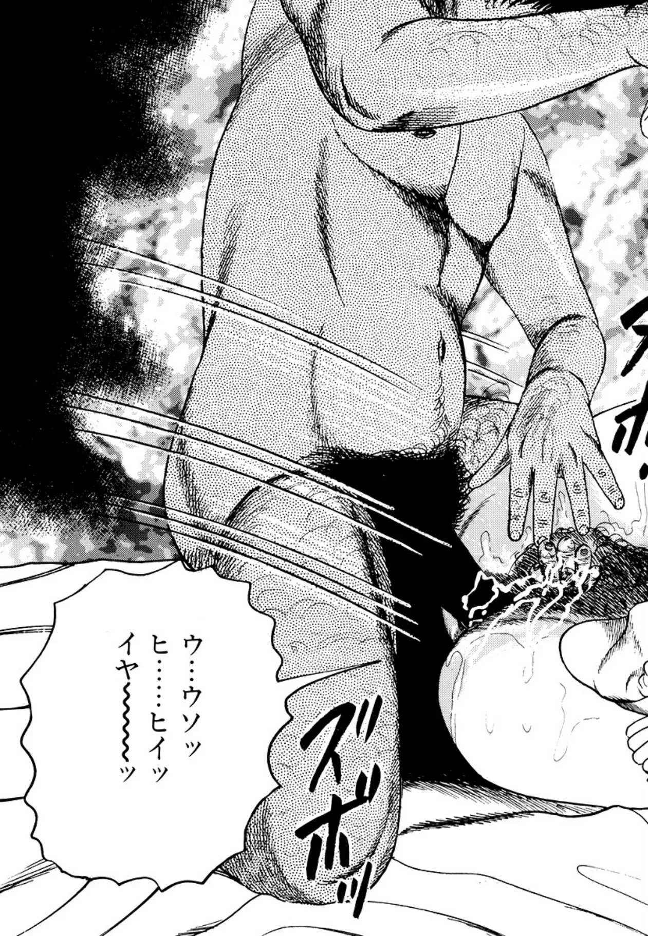 [Sanjou Tomomi] Seijuu Fujin [Digital] 图片编号 21