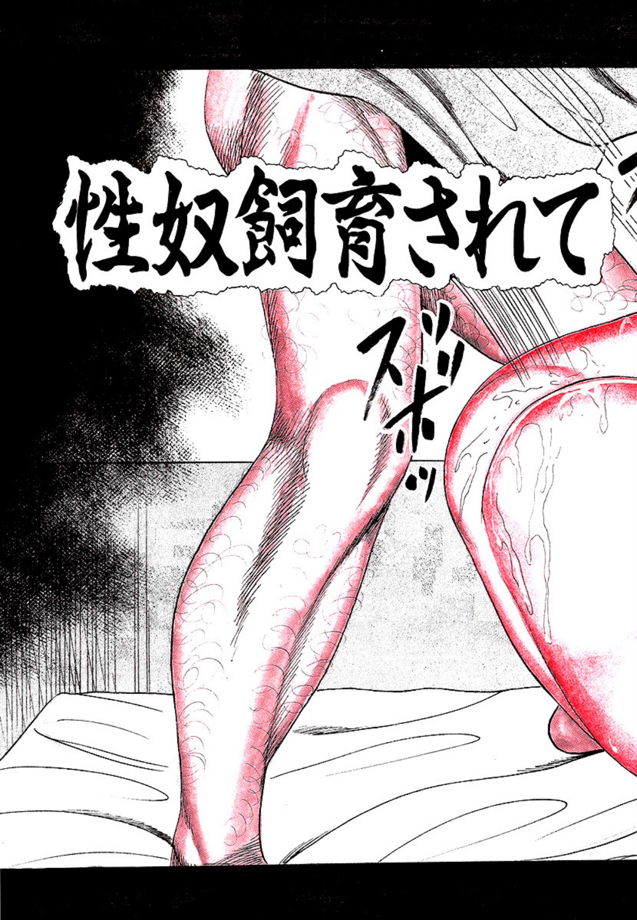 [Sanjou Tomomi] Seijuu Fujin [Digital] 图片编号 105