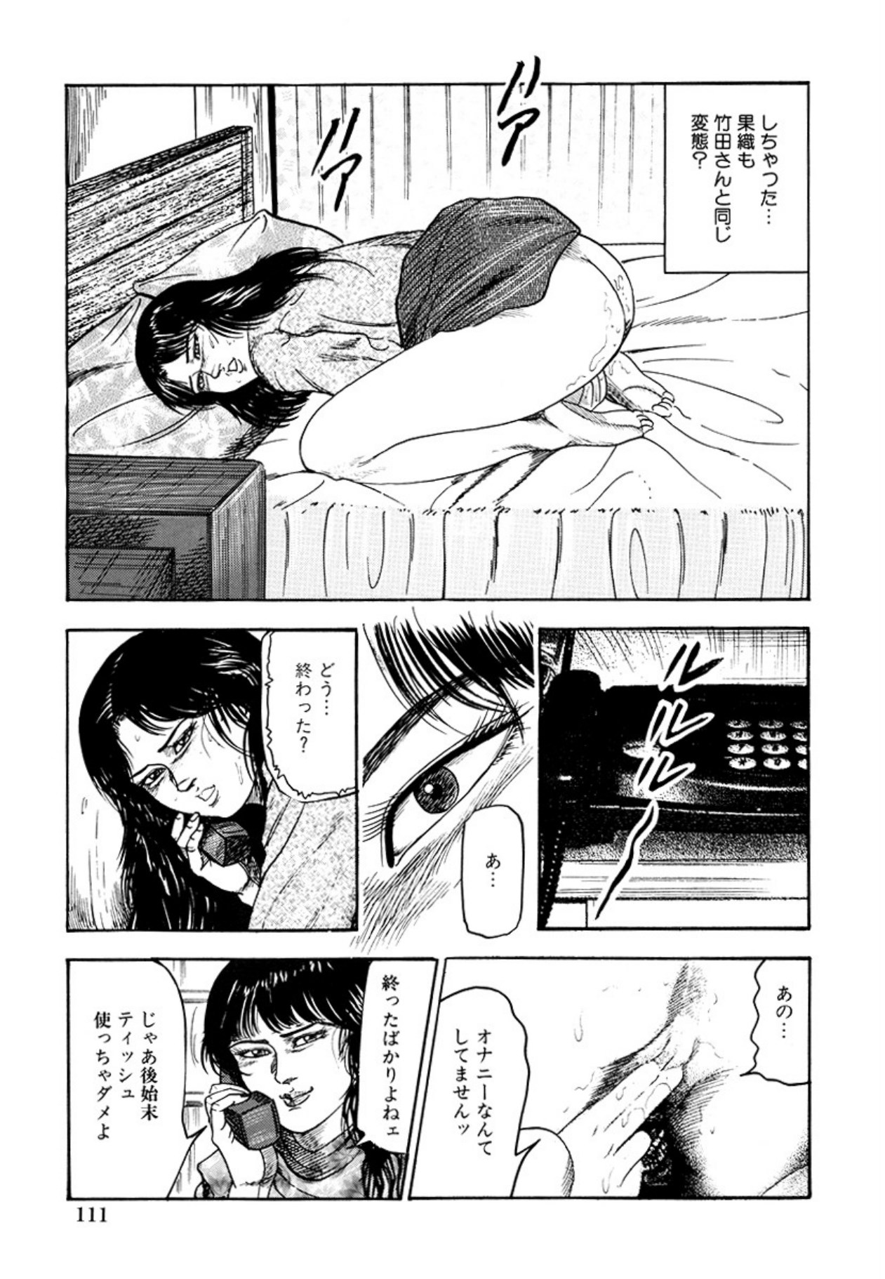 [Sanjou Tomomi] Seijuu Fujin [Digital] 图片编号 113