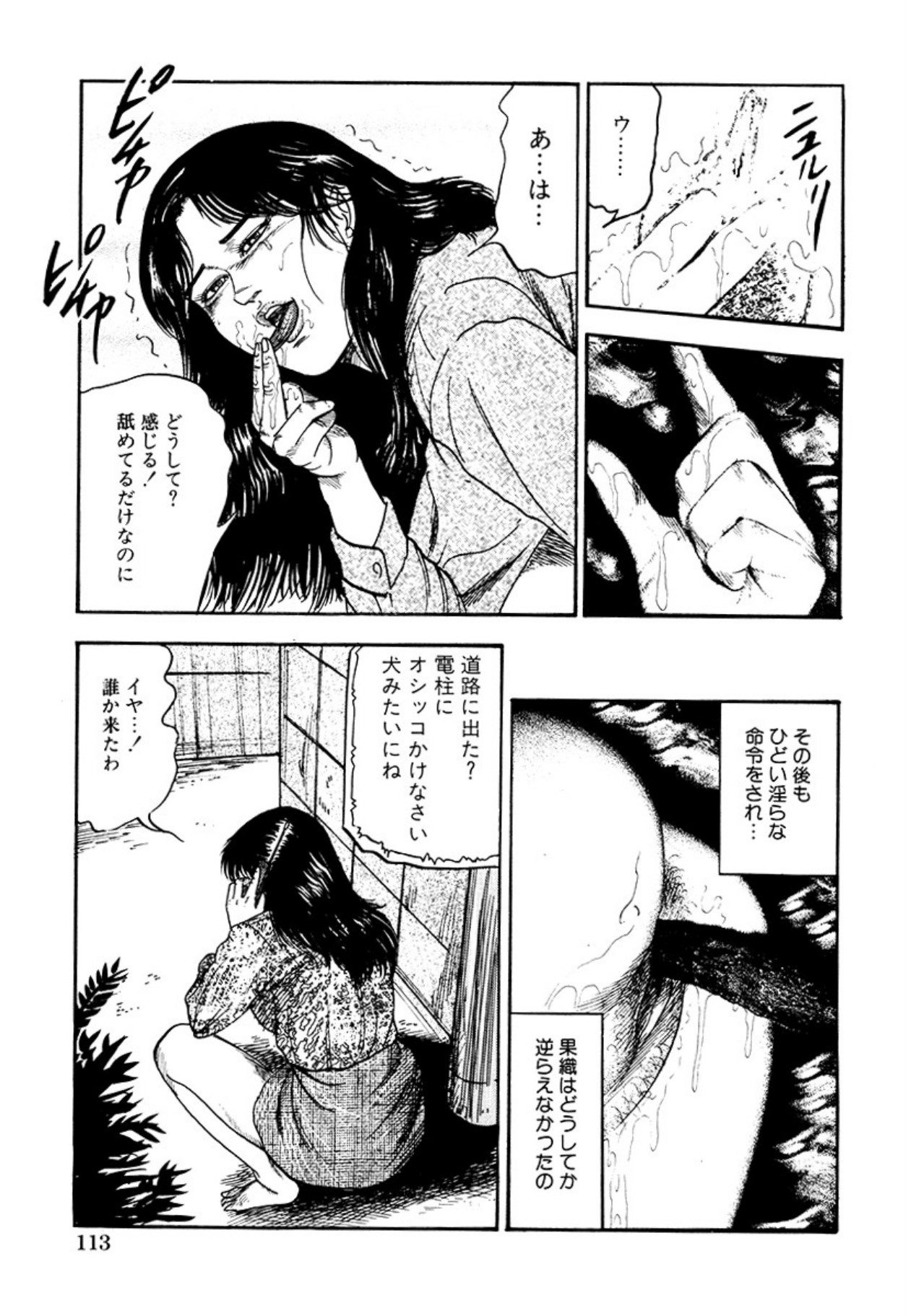 [Sanjou Tomomi] Seijuu Fujin [Digital] 图片编号 115