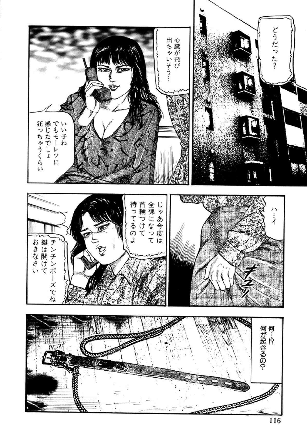 [Sanjou Tomomi] Seijuu Fujin [Digital] 图片编号 118