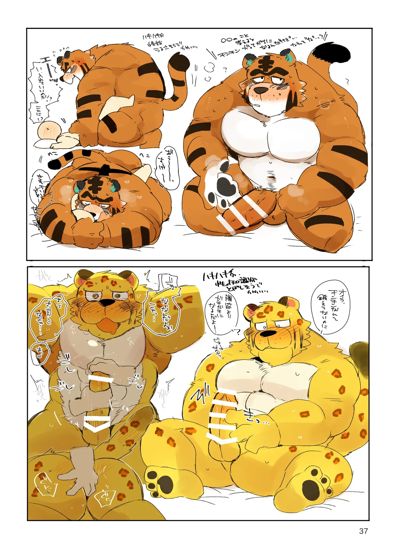 夢森 画像番号 36