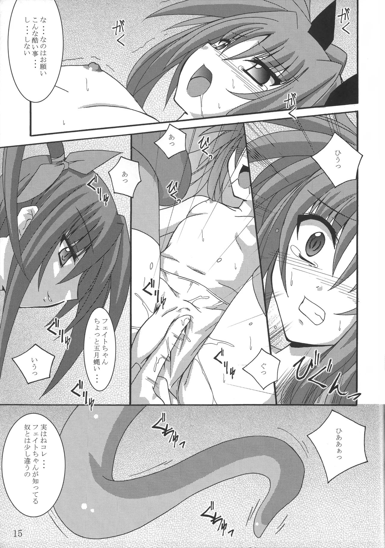 [Yoru no Benkyoukai (Fumihiro)] NF Tsuzuki (Mahou Shoujo Lyrical Nanoha) 이미지 번호 14