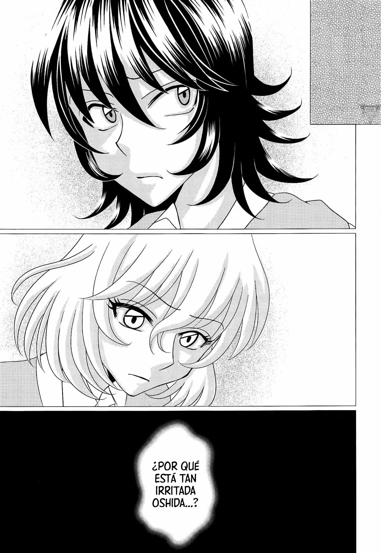 (C95) [Ziggy STAR Dust (Sato Seila)] Houbutsusen o Egaku Hana (Girls und Panzer) [Spanish] [Mister Nugget] image number 12