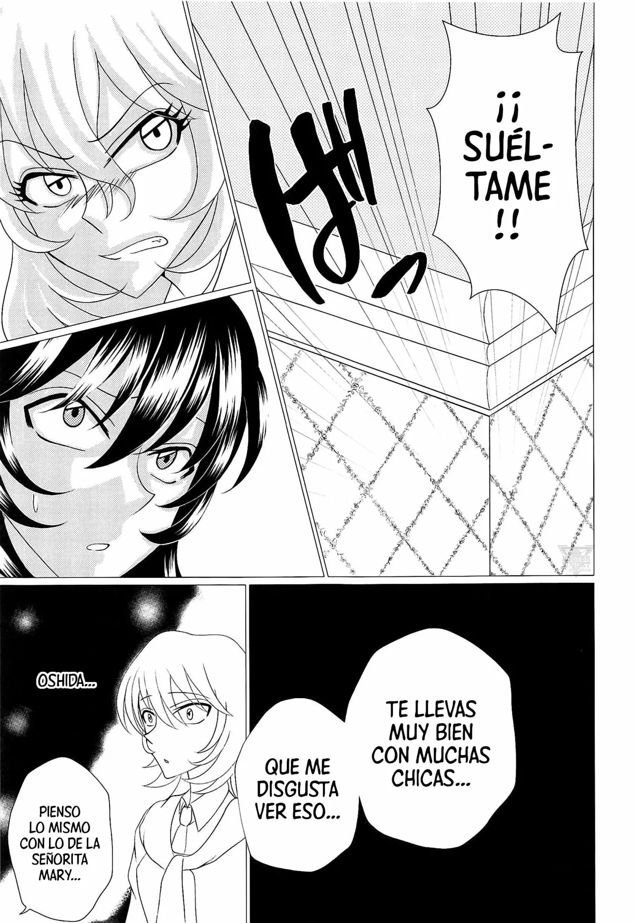 (C95) [Ziggy STAR Dust (Sato Seila)] Houbutsusen o Egaku Hana (Girls und Panzer) [Spanish] [Mister Nugget] image number 14