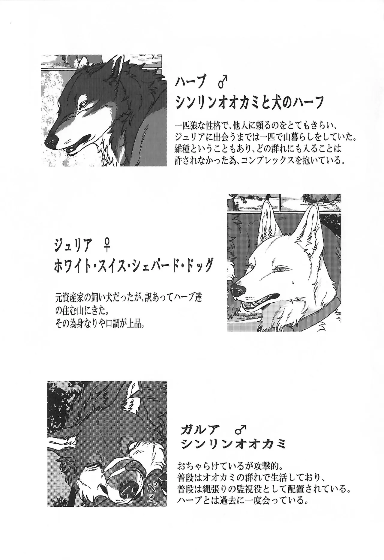 (Kansai Kemoket 10) [Neko no Shuukaijo (Nekomata)] ETERNAL FIRST image number 2