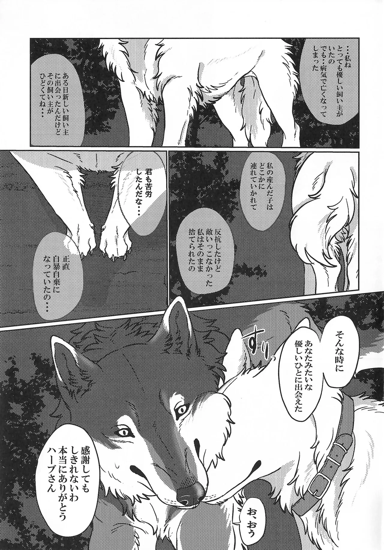 (Kansai Kemoket 10) [Neko no Shuukaijo (Nekomata)] ETERNAL FIRST image number 14