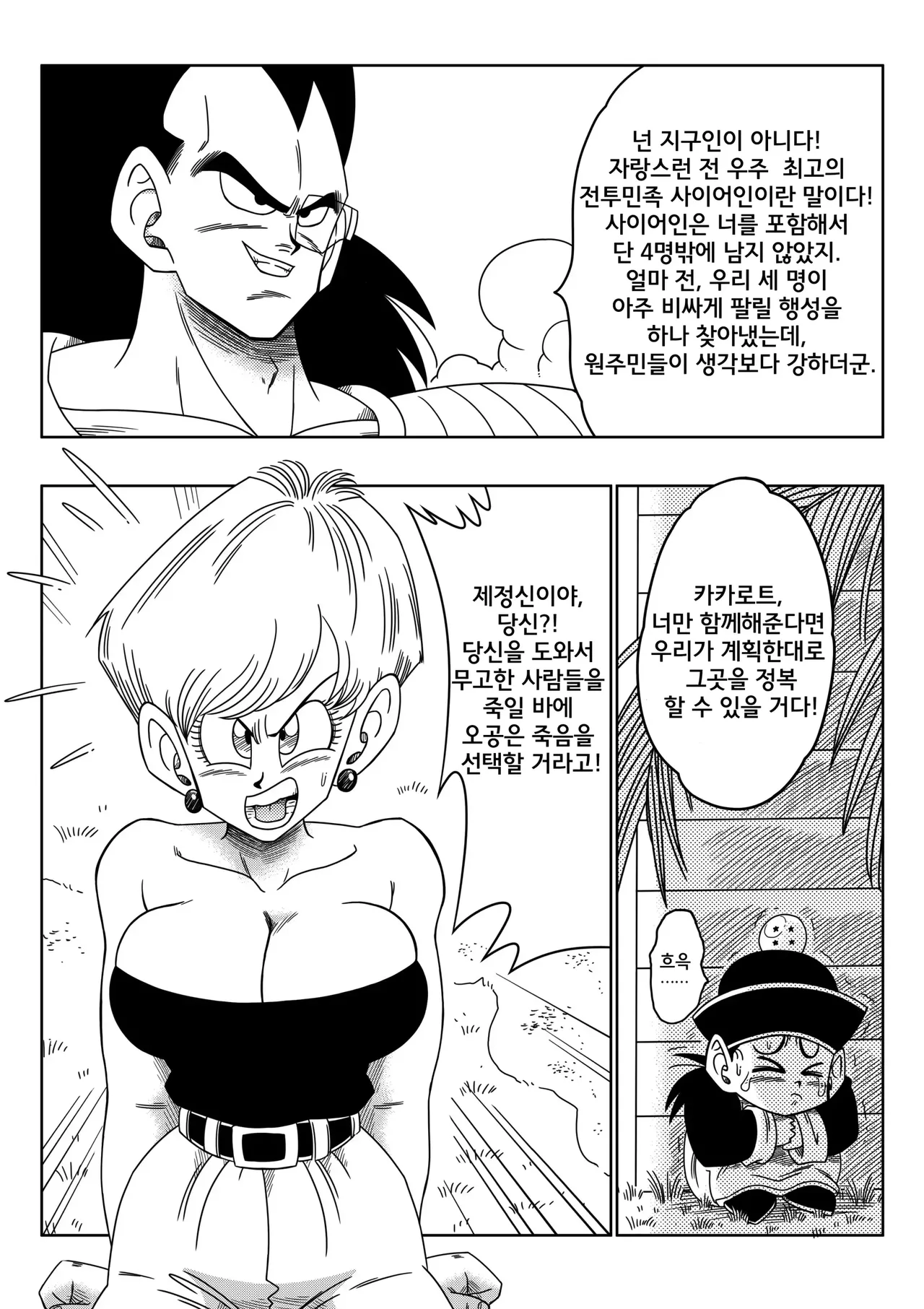 [Yamamoto] Warui Aniki - Bulma ga Yuukai Sareta! | 나쁜 형님 - 부르마가 유괴당했다! (Dragon Ball Z) [Korean] [Decensored] image number 5