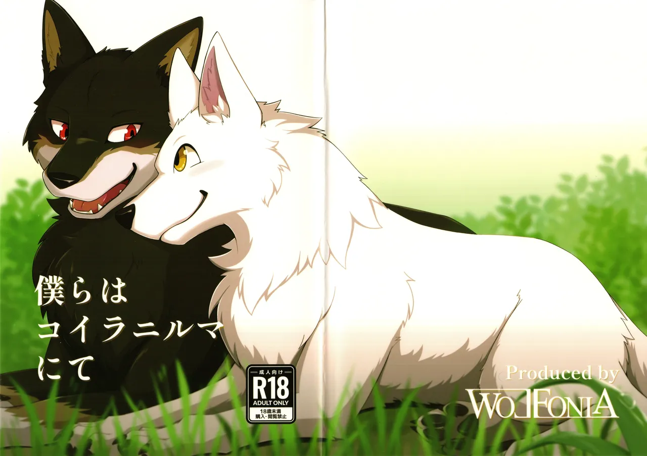 (Kansai Kemoket 10) [Wolfonia (一ツ田はうる)] We are at Koilanirma 画像番号 1