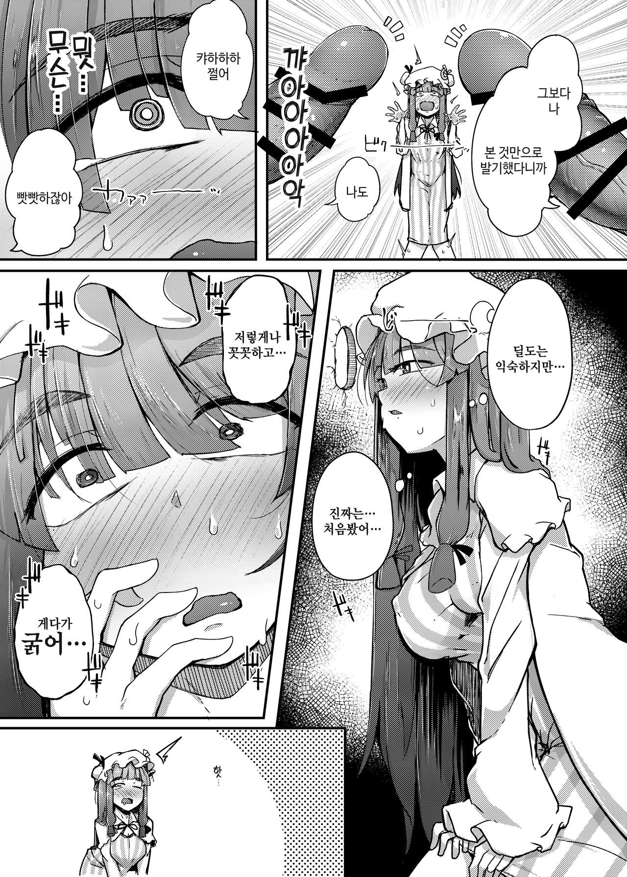 [Jikahatsudensho (flanvia)] Ana to Muttsuri Dosukebe Daitoshokan | 구멍과 무뚝뚝한 개변태 대도서관 (Touhou Project) [Korean] [Digital] numero di immagine  7