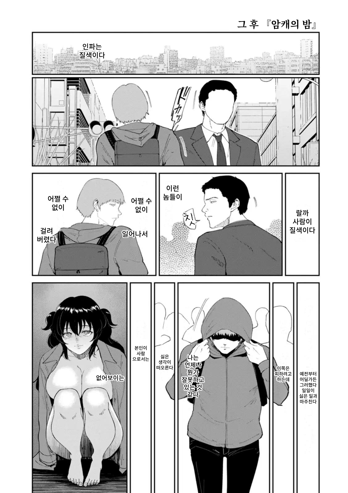 [Bifidus] Mesuinu no Yoru image number 21