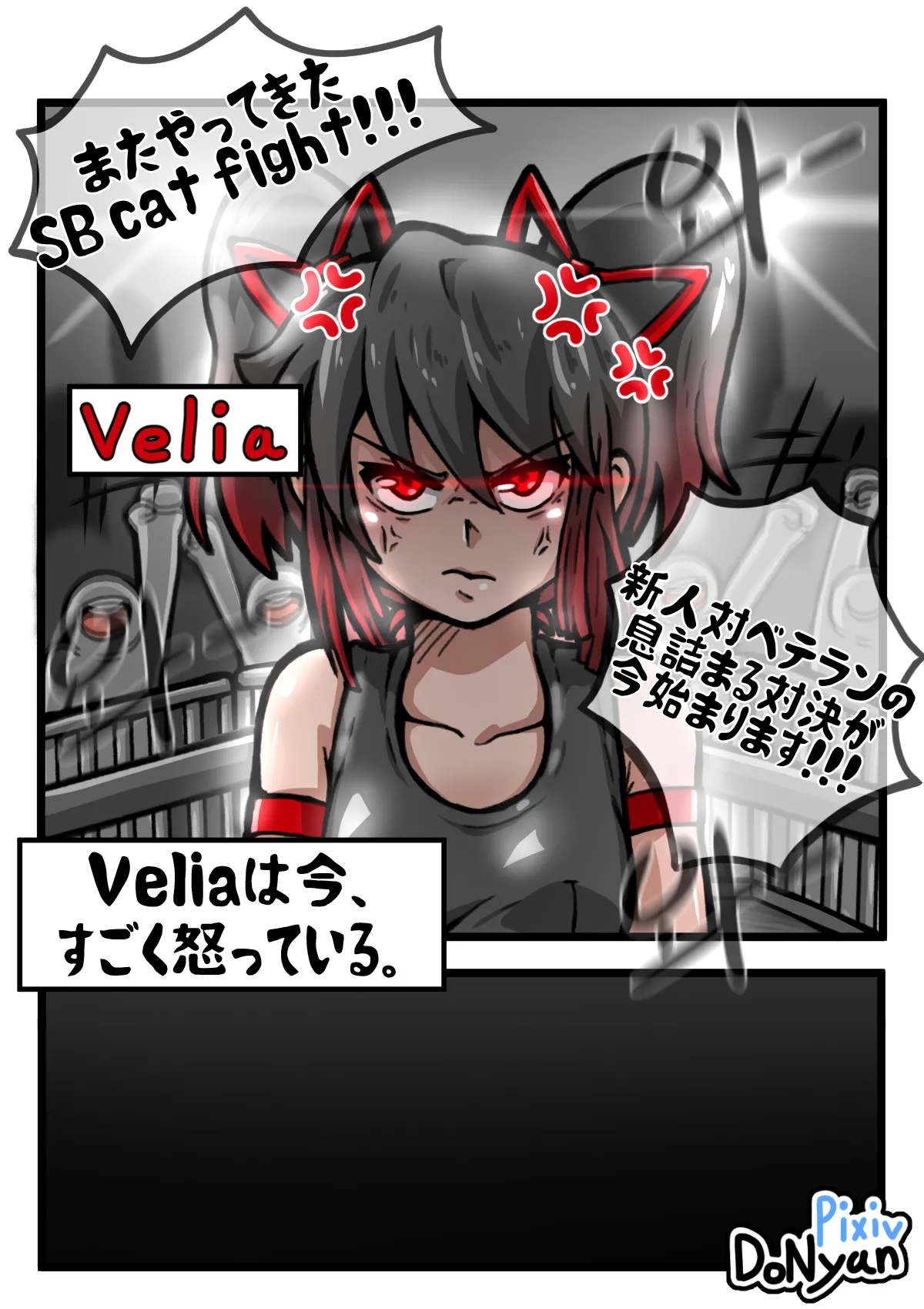 SB Catfight 2 Bildnummer 2