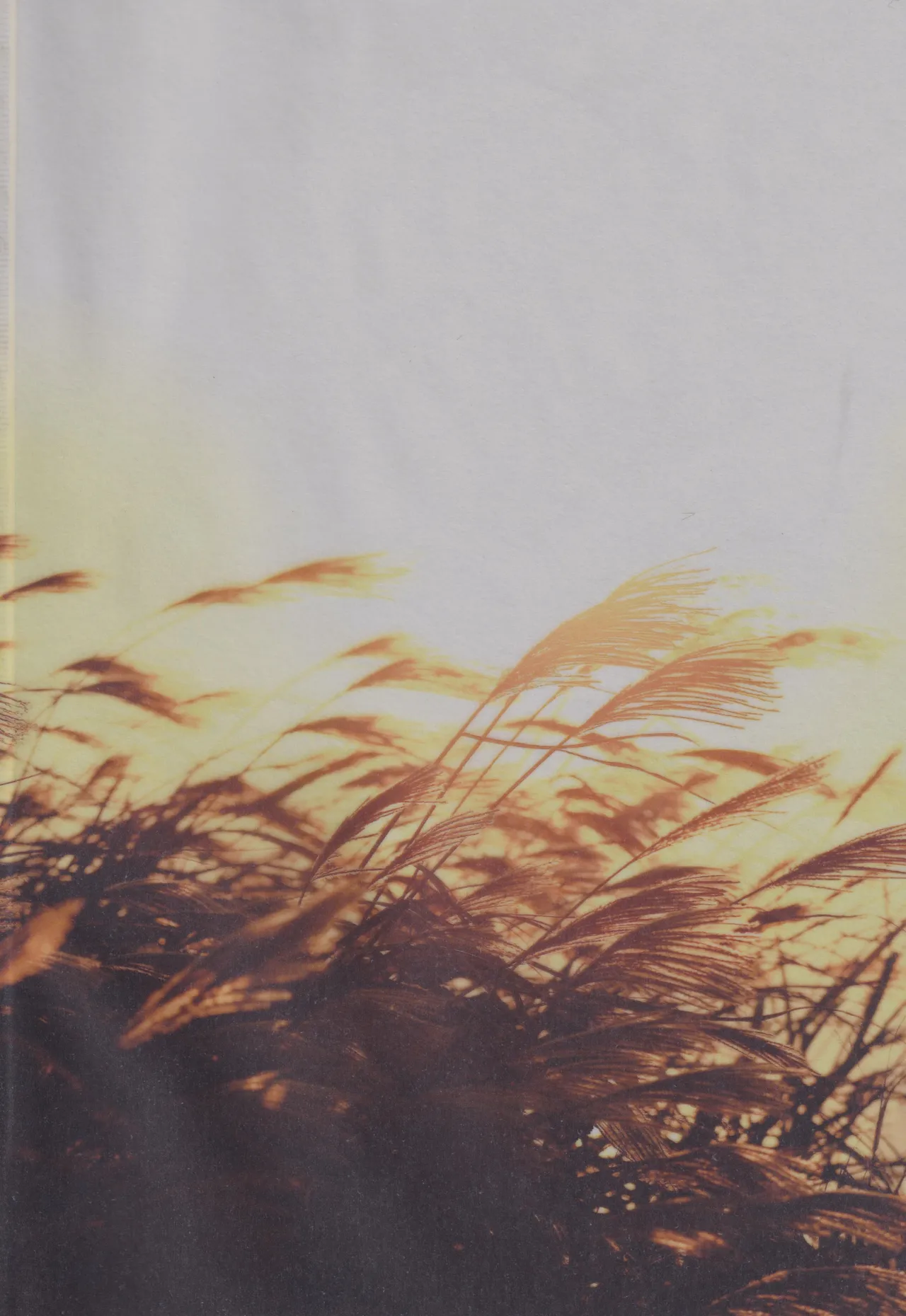 [bowwowo (Motobi)] Kannazuki no kure ni (Inuyasha) 이미지 번호 2