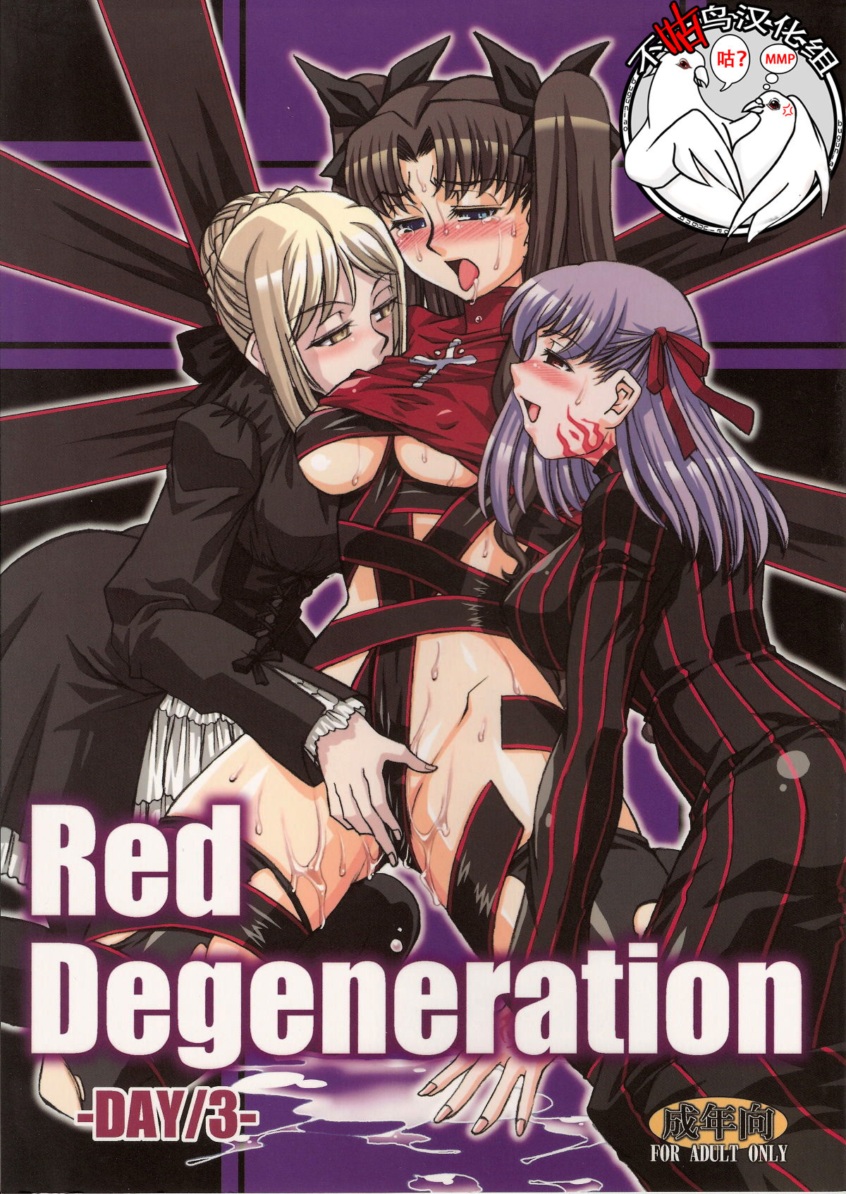 (COMIC1☆2) [H.B (B-RIVER)] Red Degeneration -DAY/3- (Fate/stay night) [Chinese] [不咕鸟汉化组] numero di immagine  1