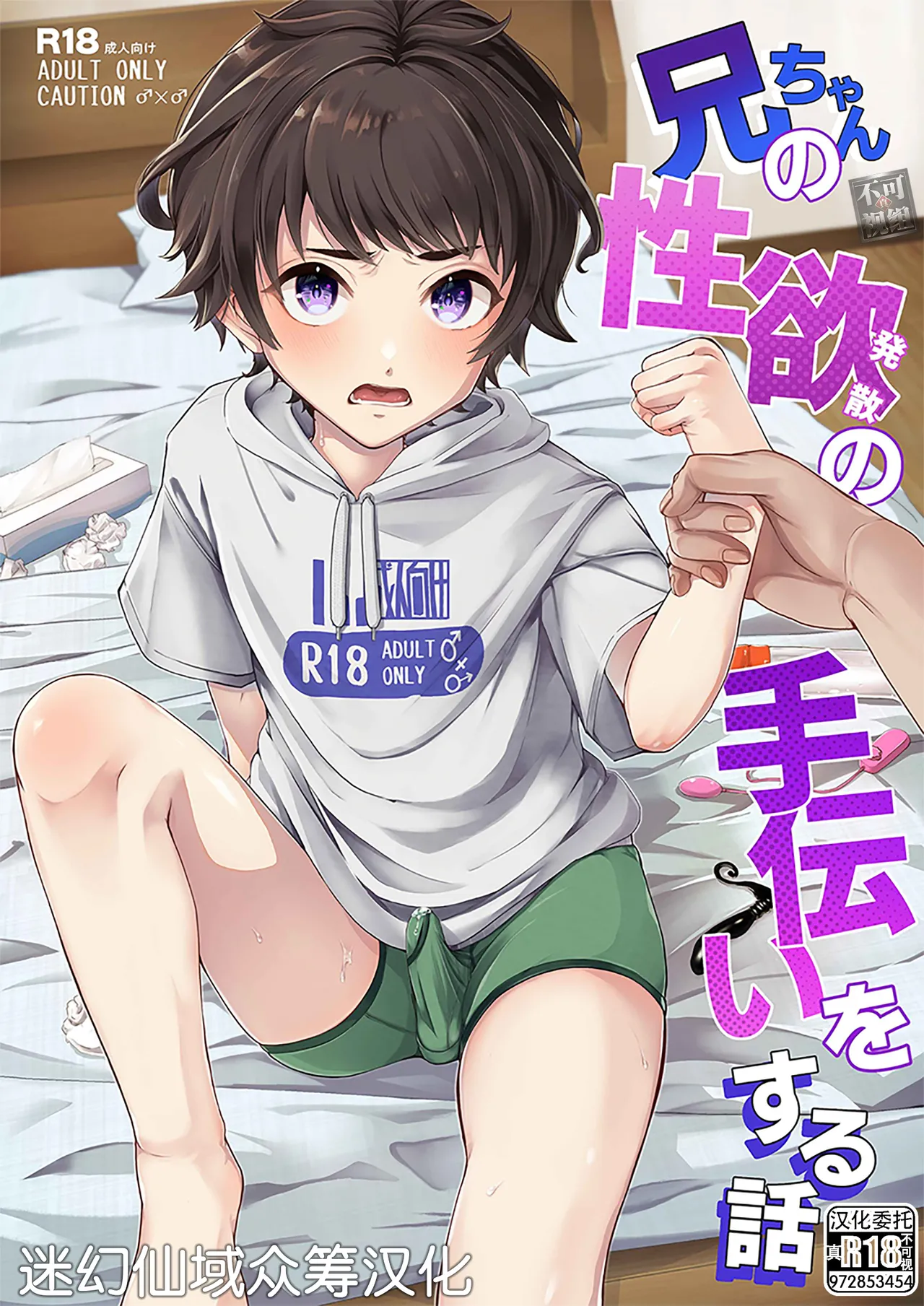 [Arlaike (Kuzumochi)] Niichan no Seiyoku Hassan no Tetsudai o Suru Hanashi [Chinese] [迷幻仙域×真不可视汉化组] [Digital] Bildnummer 1