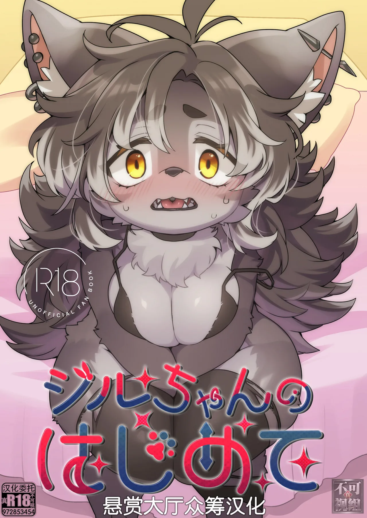 [さんぐりあ (ざくろ)] ジルちゃんのはじめて [Chinese] [悬赏大厅×真不可视汉化组] Bildnummer 1