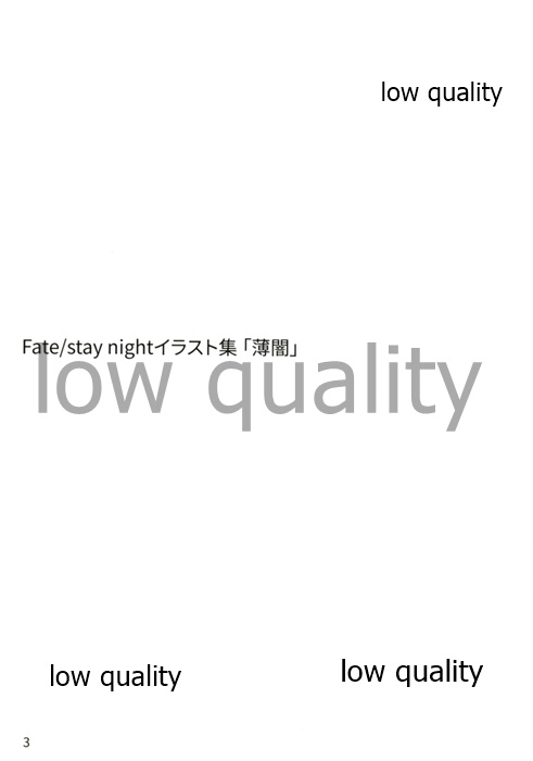 (C93) [びよんびよん堂 (bob)] Fate/stay night イラスト集 「薄闇」 (Fate/stay night) image number 3