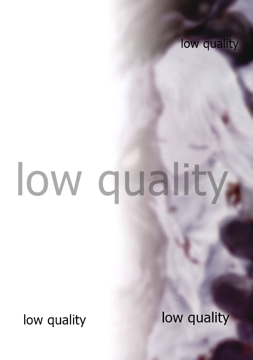 (C93) [びよんびよん堂 (bob)] Fate/stay night イラスト集 「薄闇」 (Fate/stay night) image number 8