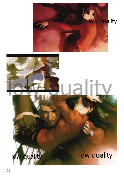 (C93) [びよんびよん堂 (bob)] Fate/stay night イラスト集 「薄闇」 (Fate/stay night) image number 18