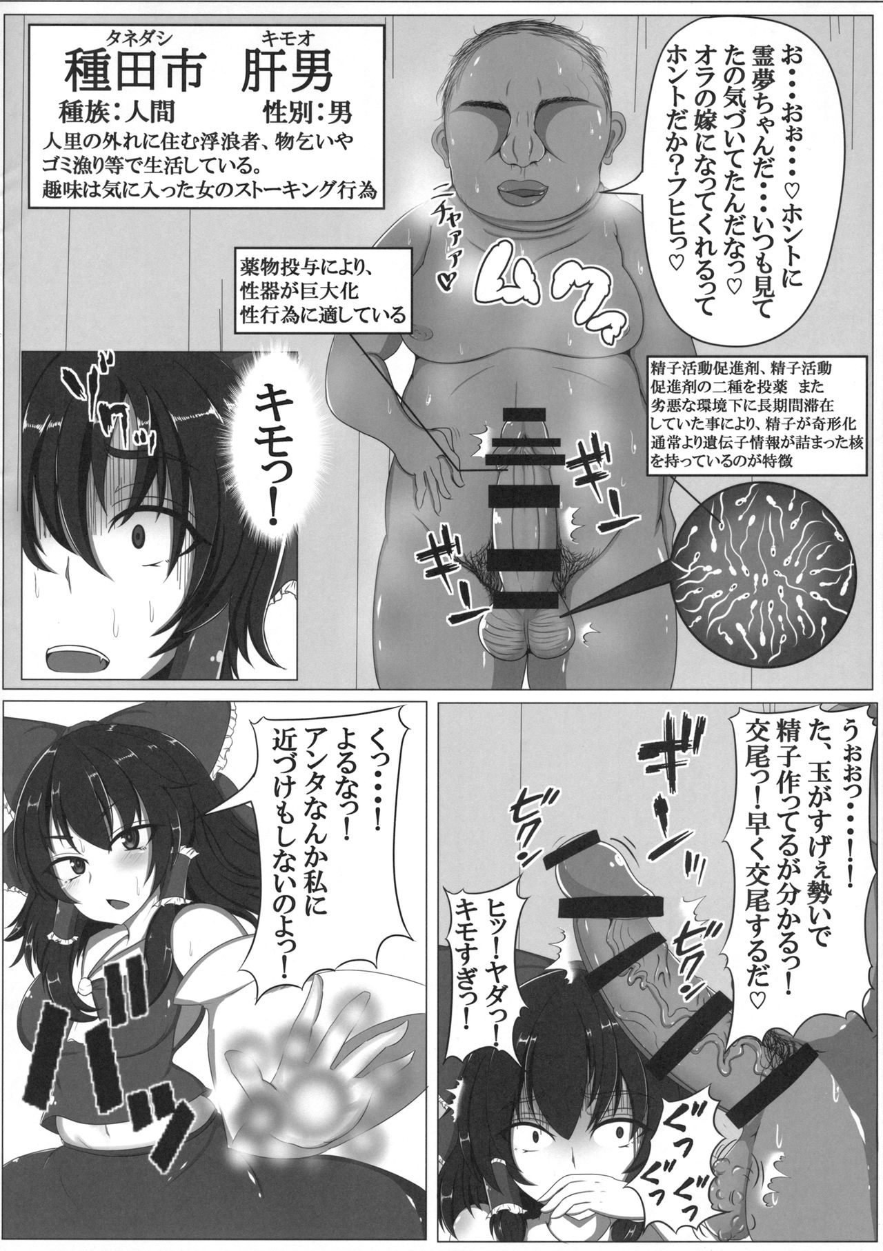 (同人誌) [銀杏重工] 東方婚姻録～博麗霊夢編～ (東方) (エロ) image number 5
