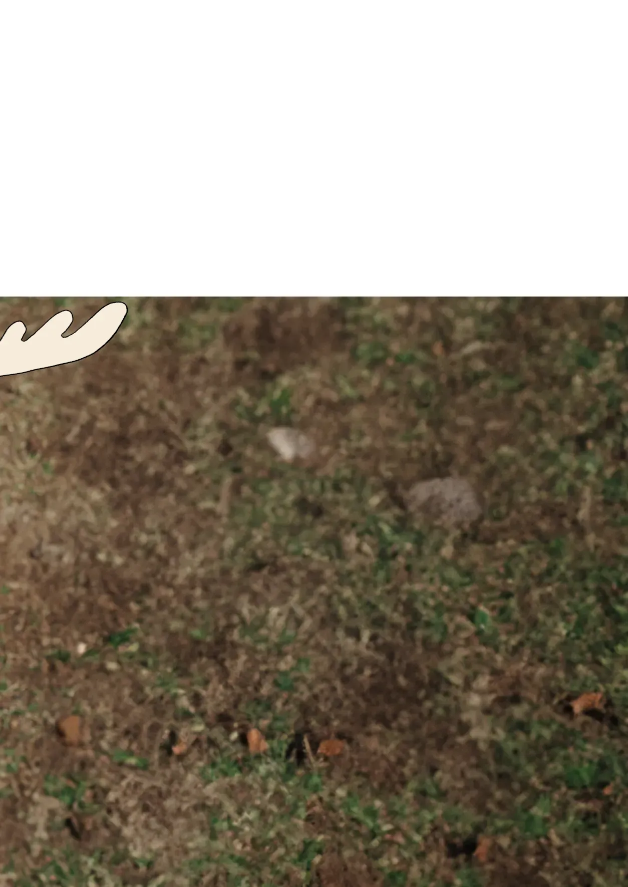 [Kazbox (Kazma)] Shikanoko Shikoshiko Ude Panpan | Shikanoko Rubbing Her Cock (Shikanoko Nokonoko Koshitantan) [Portuguese-BR] 이미지 번호 18