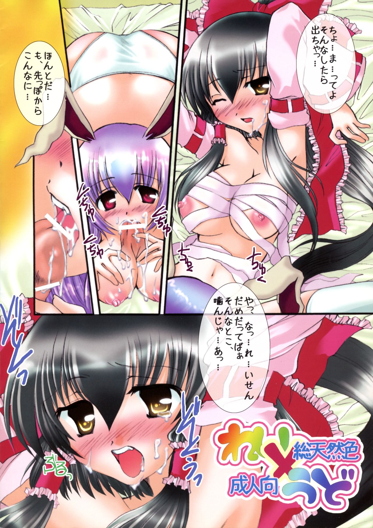 (C72) [Vanilla Ninja (Tachibana Tatsuru)] Rei×Udo sou Tennenshoku Seijin Mukai (Touhou Project) 이미지 번호 2