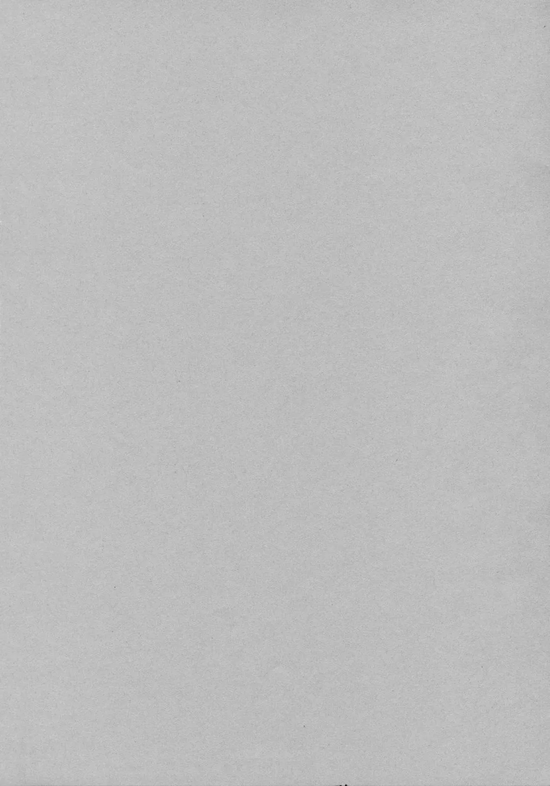 (C70) [Todd Special (Todd Oyamada)] Yukemuri NyanNyan Jiken (Bleach) [Korean] [Decensored] 图片编号 35